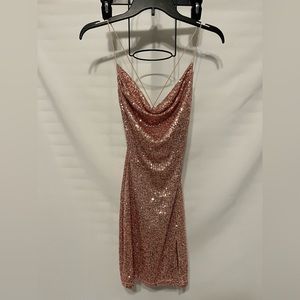 Blush Pink Sparkly Windsor Dress